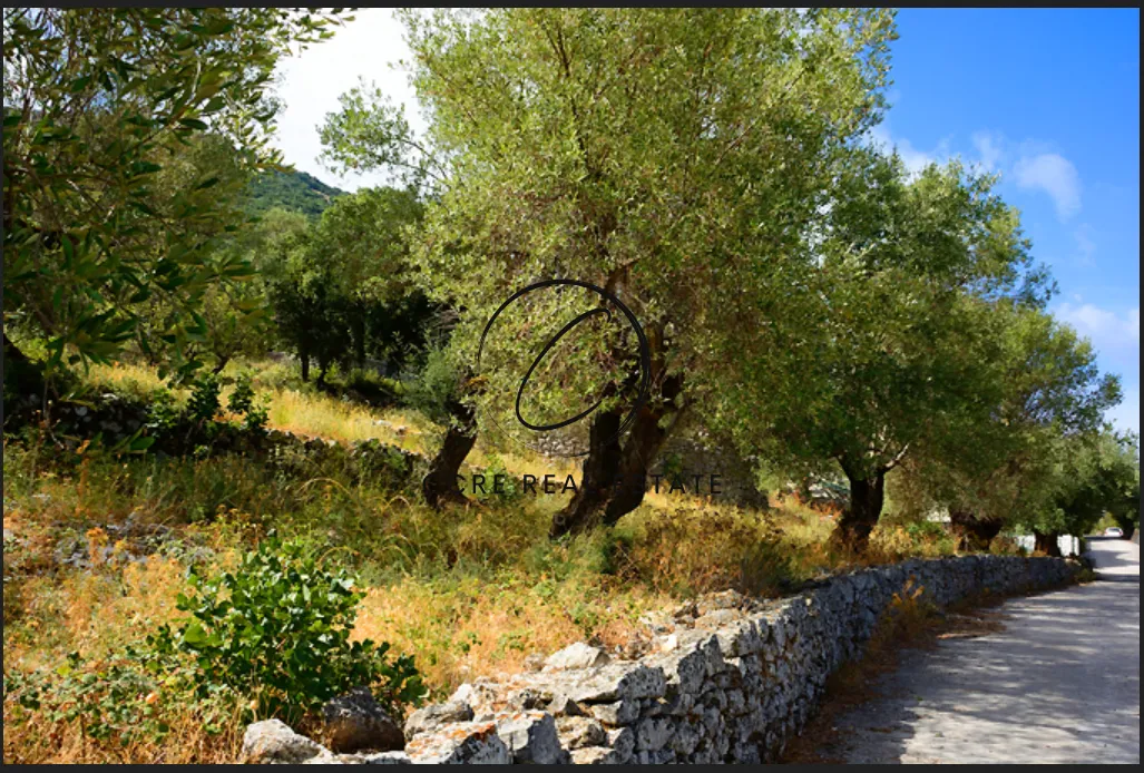 Οικόπεδο 1706τ.μ.  - 3