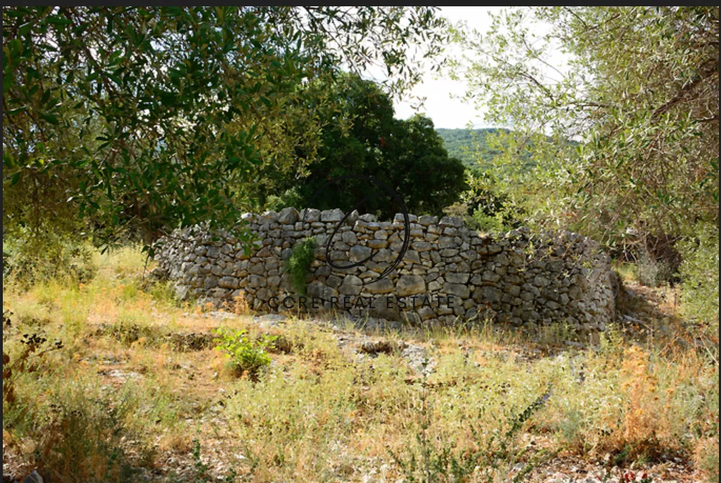 Οικόπεδο 1706τ.μ.  - 4