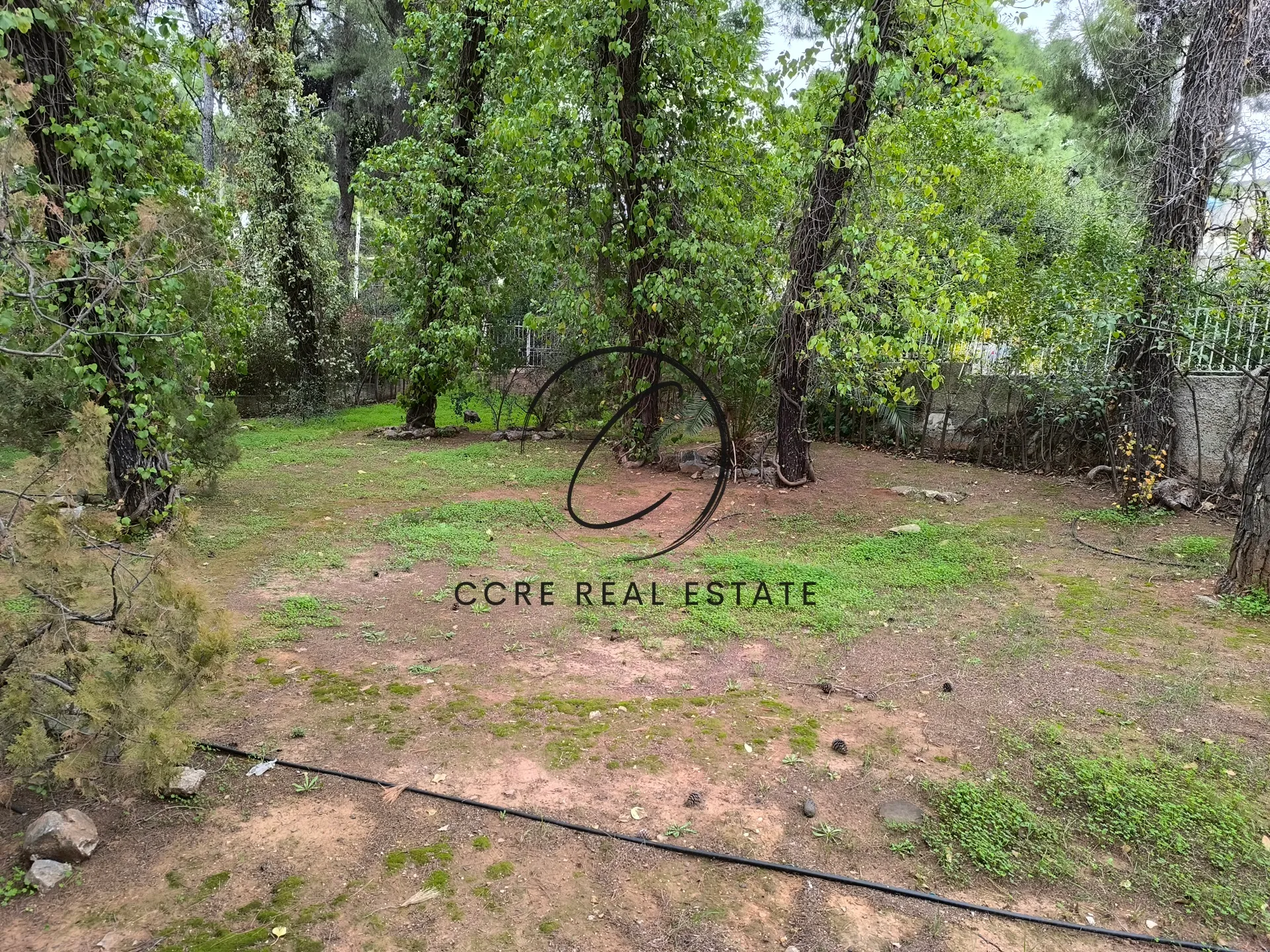 Detached house 750m²  - 4