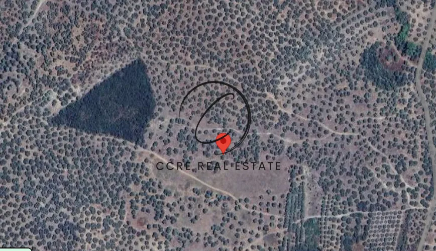 Οικόπεδο 86000τ.μ.  - 2