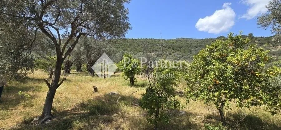 Οικόπεδο 6932τ.μ.  - 4
