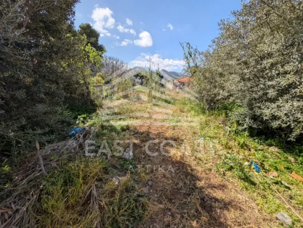 Plot 604m²  - 2