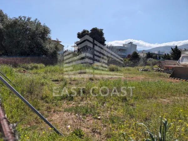 Plot 604m²  - 3