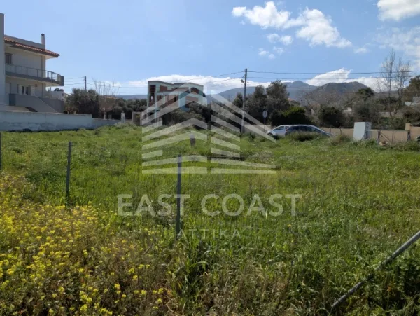 Plot 614m²  - 3