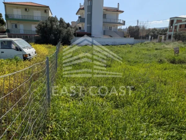 Plot 614m²  - 5