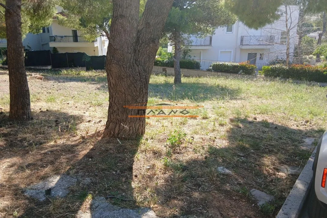 Plot 500m²  - 3