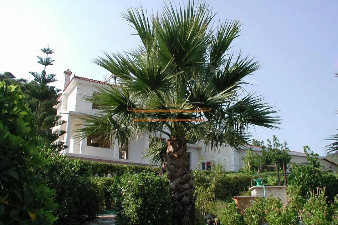 Detached house 335m²  - 3