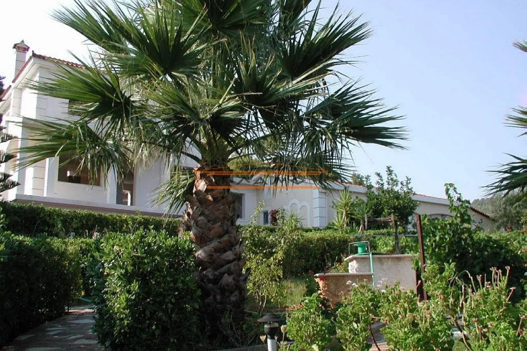 Detached house 335m²  - 5