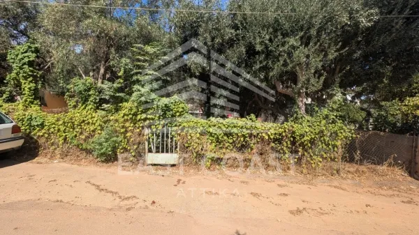 Plot 225m²  - 3
