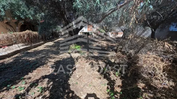 Plot 225m²  - 4