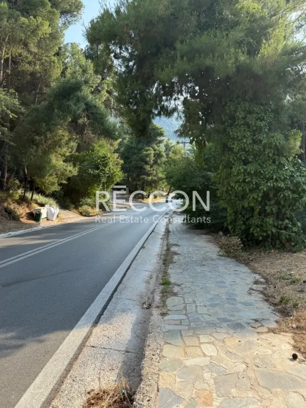 Οικόπεδο 800τ.μ.  - 5