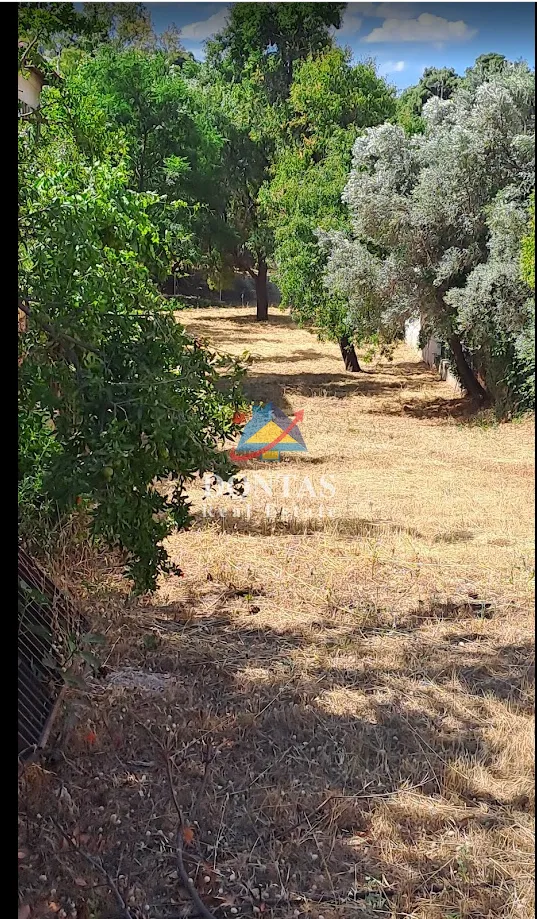 Οικόπεδο 760τ.μ.  - 2