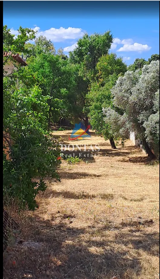Οικόπεδο 760τ.μ.  - 4