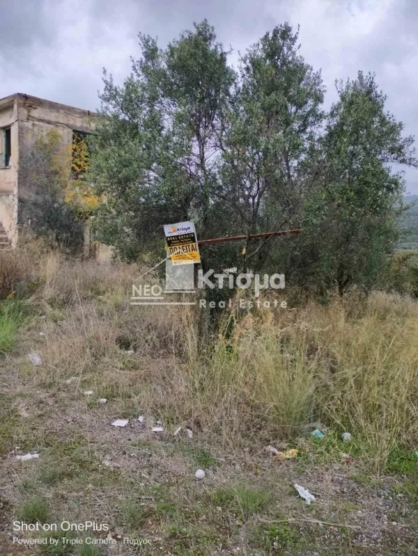 Land Parcel 12394m²  - 2