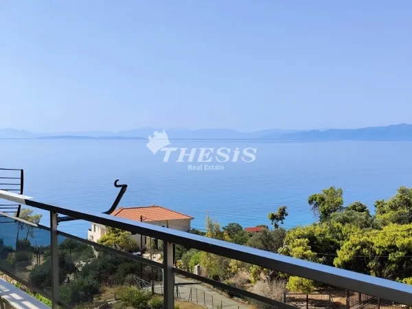 Apartment 53m²  - 4