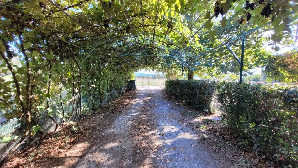 Detached house 250m²  - 3