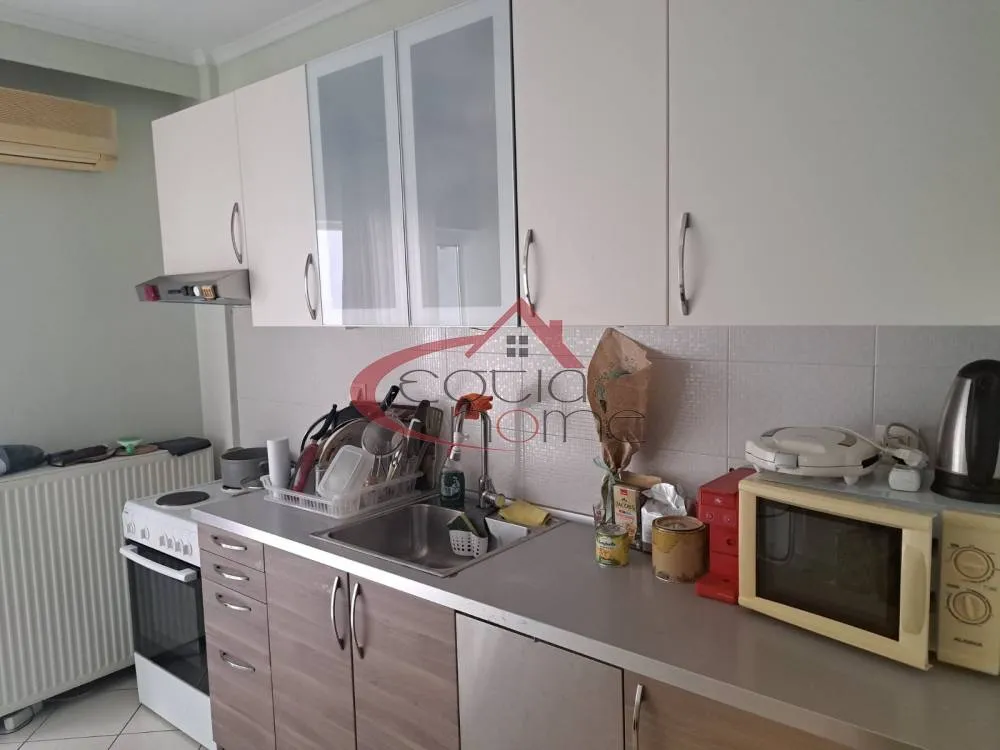 Studio 72m²  - 3
