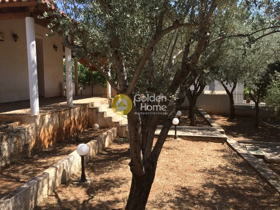 Detached house 120m²  - 4