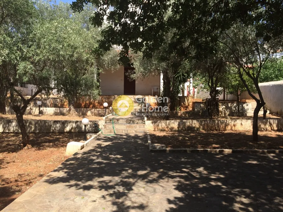 Detached house 120m²  - 5