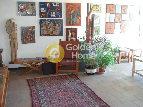 Detached house 310m²  - 2
