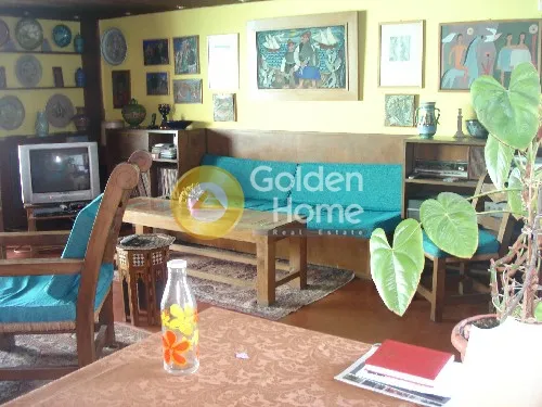 Detached house 310m²  - 5