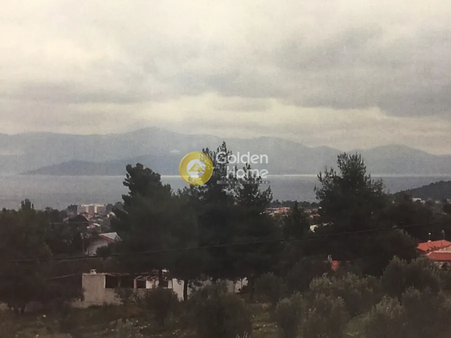 Μονοκατοικία 263τ.μ.  - 5