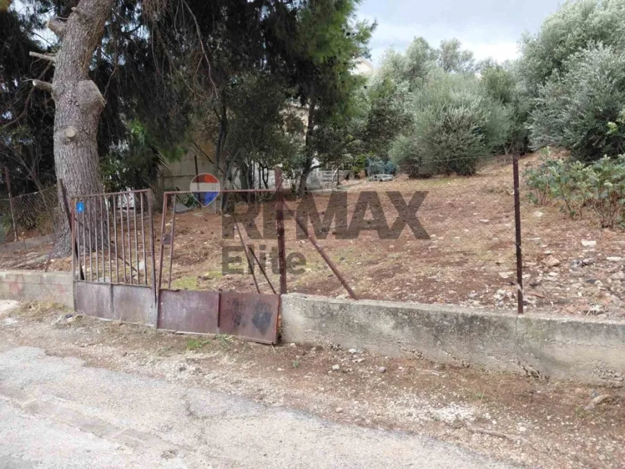 Οικόπεδο 335τ.μ.  - 3