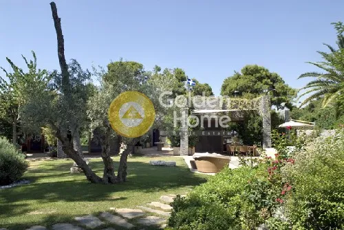 Detached house 1200m²  - 3