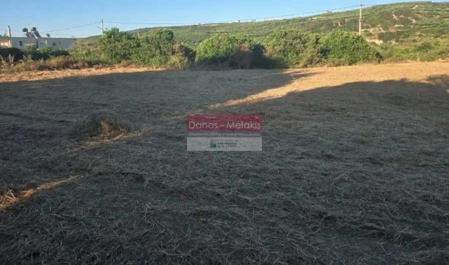 Plot 303m²  - 3
