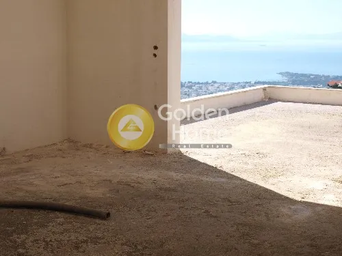 Μονοκατοικία 1200τ.μ.  - 4