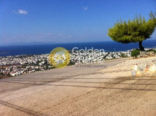 Μονοκατοικία 315τ.μ.  - 4