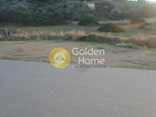 Detached house 610m²  - 4