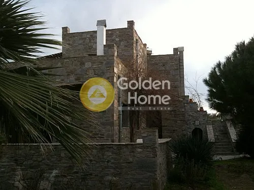 Detached house 450m²  - 3