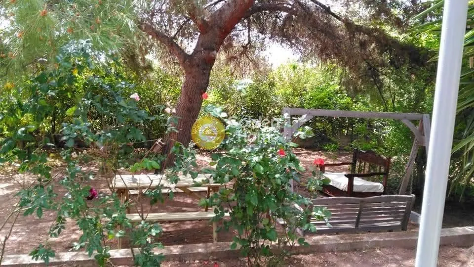 Detached house 250m²  - 2