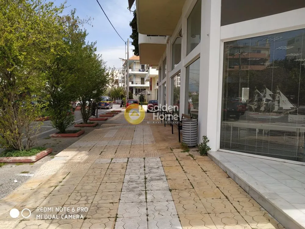 Κατάστημα 295τ.μ.  - 3