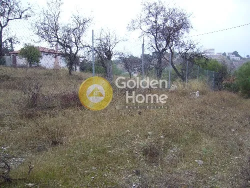 Αγροτεμάχιο 550τ.μ.  - 2
