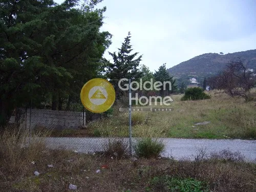 Αγροτεμάχιο 550τ.μ.  - 4