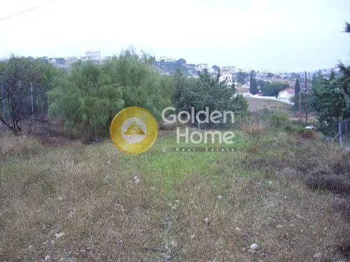 Αγροτεμάχιο 550τ.μ.  - 5