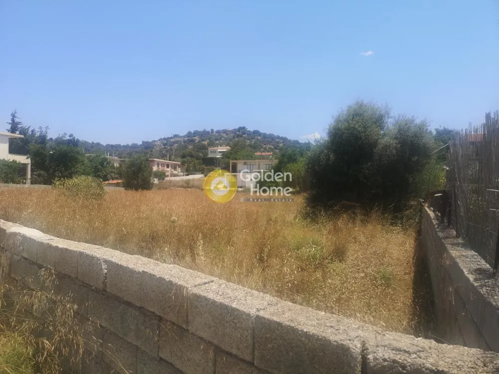 Αγροτεμάχιο 1015τ.μ.  - 3