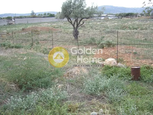 Αγροτεμάχιο 12011τ.μ.  - 5