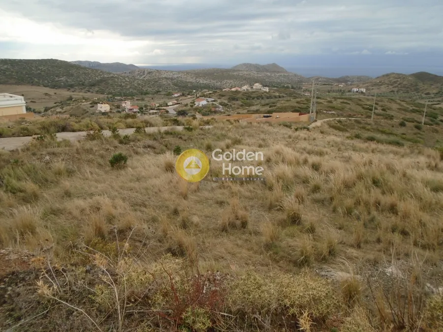 Αγροτεμάχιο 6000τ.μ.  - 2