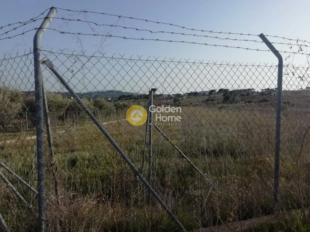 Land Parcel 3800m²  - 4