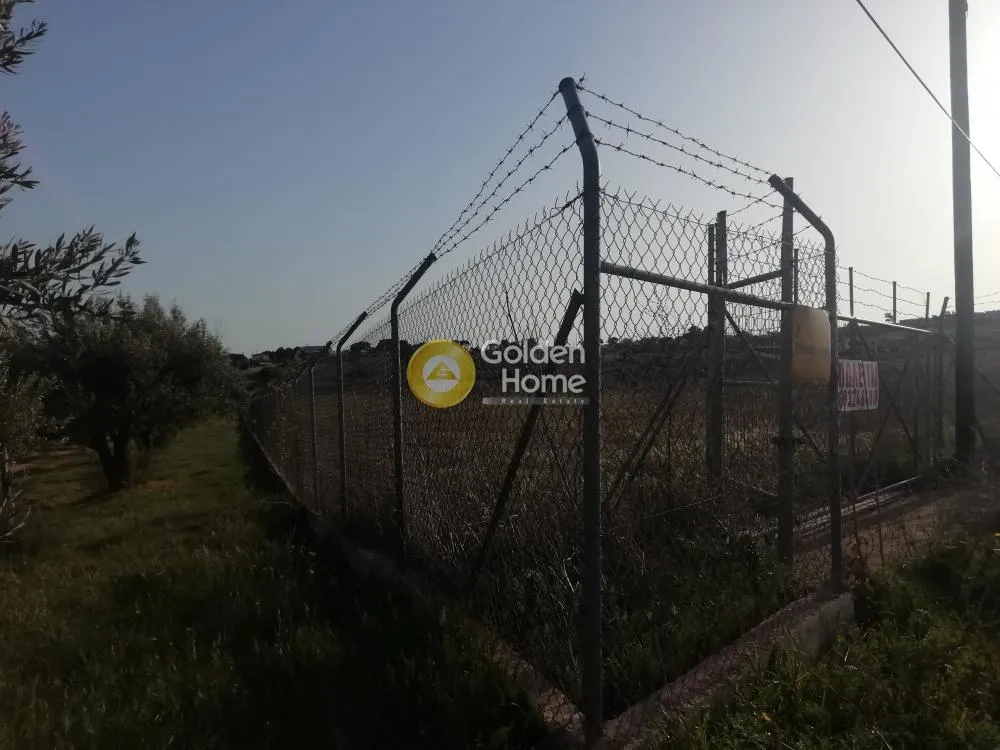 Land Parcel 3800m²  - 5