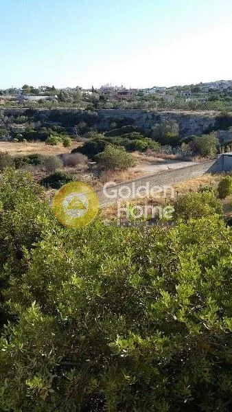 Οικόπεδο 7900τ.μ.  - 2