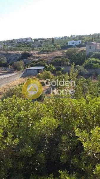 Οικόπεδο 7900τ.μ.  - 3