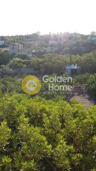 Οικόπεδο 7900τ.μ.  - 4