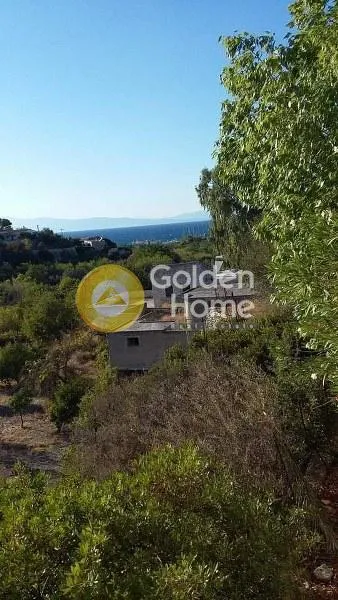 Οικόπεδο 7900τ.μ.  - 5