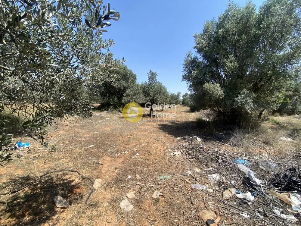 Αγροτεμάχιο 6300τ.μ.  - 2