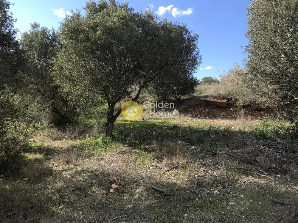 Άλλο.. 18000τ.μ.  - 2