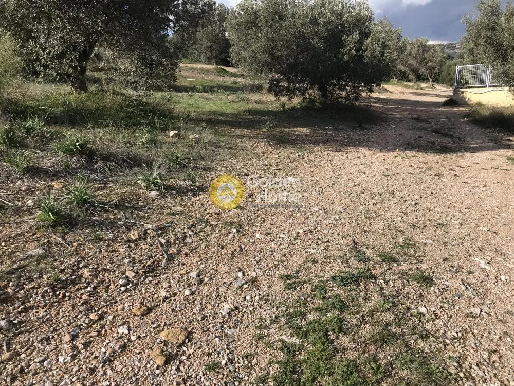 Άλλο.. 18000τ.μ.  - 3